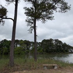 Bay Tree Manor - Backyard
