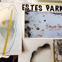 Safeway Gas - This big foot footprint was found just a few miles from downtown Estes Park! This creature had a 5 foot stride!