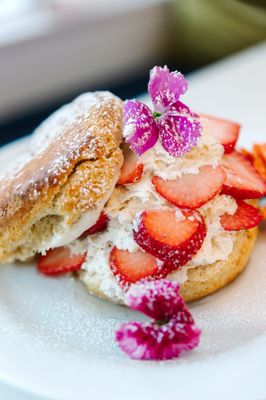 Babe's Tea Room by null