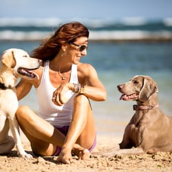 Maui Dog Remedies - Maui Dog Trainer offering Private Dog Training Retreats & Short and Long Term Boarding Staycations.