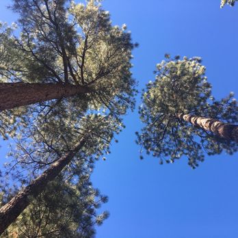 Kaibab Camper Village by WYLDE - Looking up from our campsite. - Campgrounds Near Me - Fredonia, Arizona Kaibab Camper Village by WYLDE - Looking up from our campsite. - Campgrounds Near Me - Fredonia, Arizona