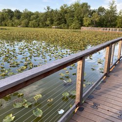 Historic Smithville Park & Smith's Woods - 8/20/2020
