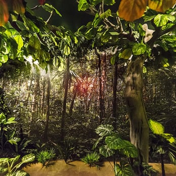 Escape60 - Escape Games Near Me - São Paulo, SP