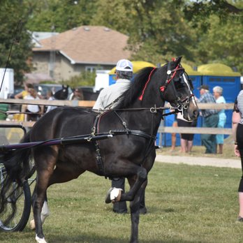 Milton Fall Fair - Festivals Near Me - Milton, Ontario