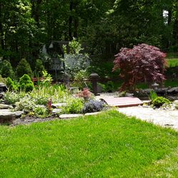 Michael Strauss Violin and Viola Studio - Beautiful gardens for relaxation and inspiration.