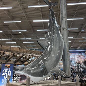 Bass Pro Shops - Accessories Near Me - Irvine, California Bass Pro Shops - Accessories Near Me - Irvine, California