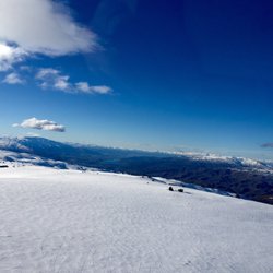 Heliview Flights