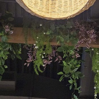 Pacific Catch - Seafood Near Me - Santa Monica, California