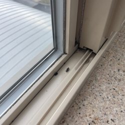 Holiday Inn Yakima - Bugs in our windows