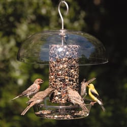 Wild Birds Unlimited