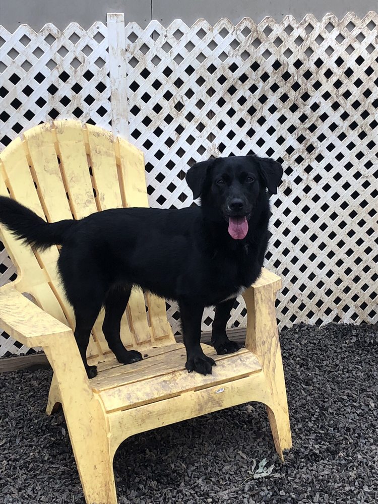 PINKIE’S PLAY PLACE Updated September 2024 11 Photos & 18 Reviews