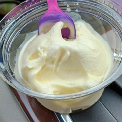 Tropical Bungalow - 99 cent custard w/ coupon