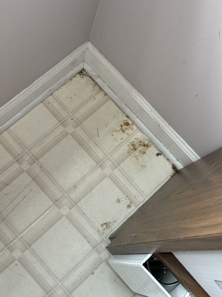 Lawson Commercial & Residential Cleaning - veterans service organization in Heiskell, TN