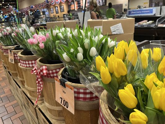 Wegmans by null