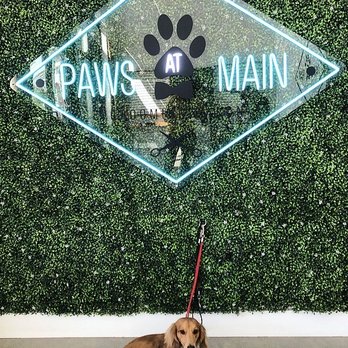 Paws At Main - Bath & Tidy! - Pet Groomers Near Me - Corona, California