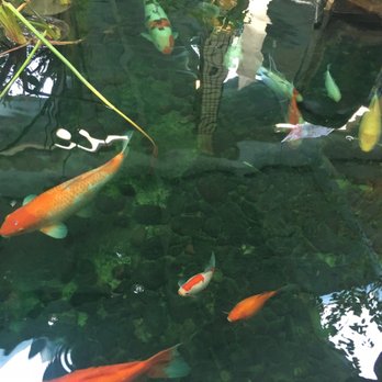 Dancing Cranes Imports - Koi pond - Arts & Crafts Near Me - Salt Lake City, Utah
