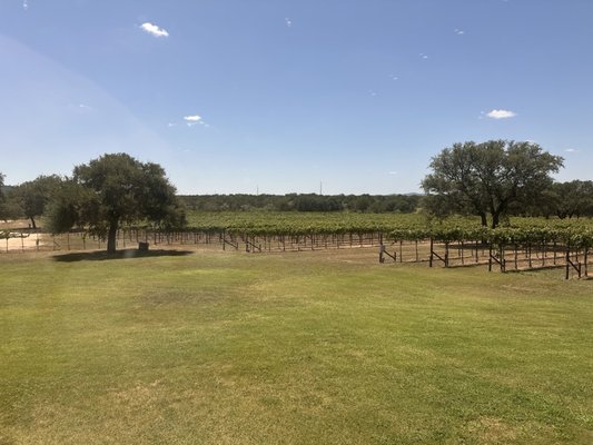 Perissos Vineyard and Winery by null