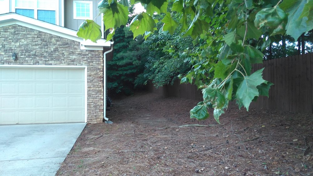 NORTH LANDSCAPE MANAGEMENT Updated August 2024 48 Photos