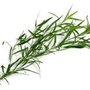 Photo of Tarragon Catering