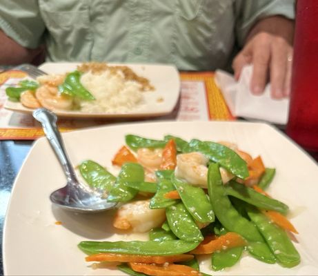 Ginger Garden by null