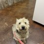 Photo of Loftin Veterinary Hospital