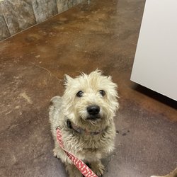 Loftin Veterinary Hospital