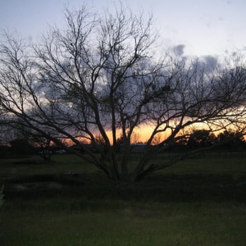 Barking Rocks Vineyard and Winery - Sunset - Wineries Near Me - Granbury, Texas Barking Rocks Vineyard and Winery - Sunset - Wineries Near Me - Granbury, Texas