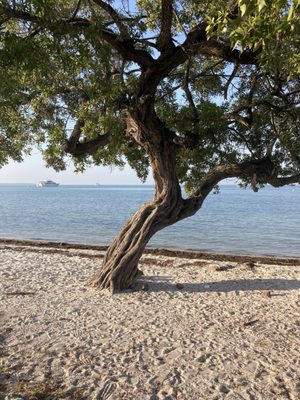 Hobie Island Beach Park North by null