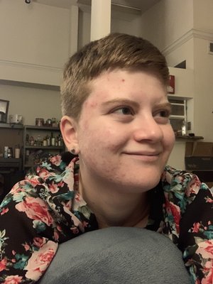 Birds Barbershop by null