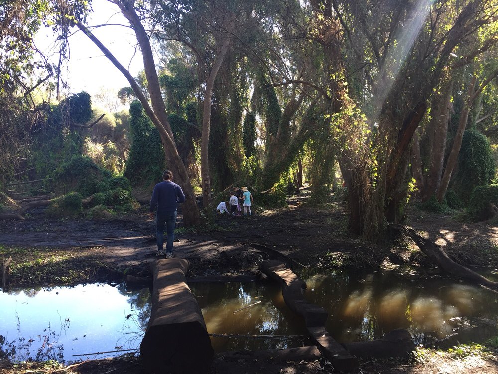 SECRET GARDEN GWELUP 10 Photos Parks 2 Careniup Ave, Gwelup