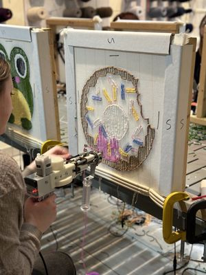 Tutuland Boston by null