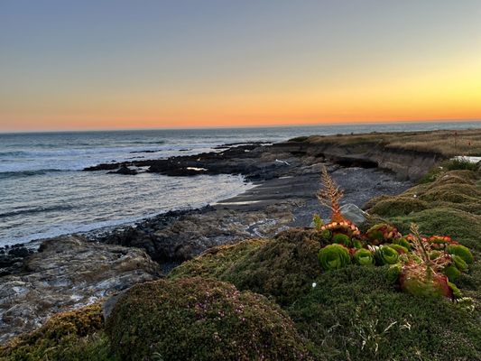 The Tides Inn by null