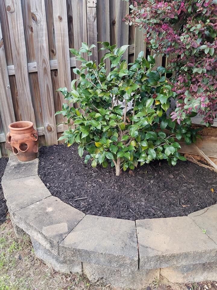 HOME PRO SERVICES Updated October 2024 10 Photos 1734 Forest