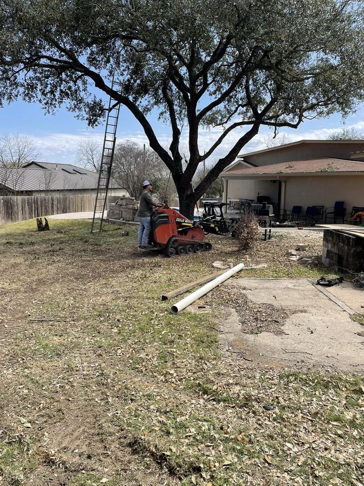 Luna's Tree Service - tree service in San Antonio, TX