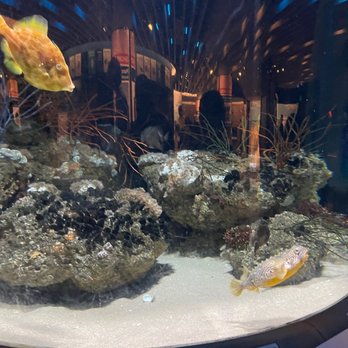 National Aquarium - Aquariums Near Me - Baltimore, Maryland National Aquarium - Aquariums Near Me - Baltimore, Maryland