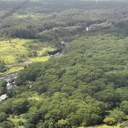 Safari Helicopters