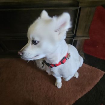 Petco - Pet Stores Near Me - Pflugerville, Texas