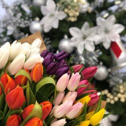 710 Flower Shop - Beautiful fresh tulips