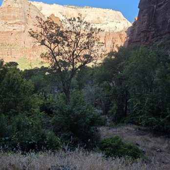 Weeping Rock - Zion National Park: Weeping Rock - Hiking Near Me - Springdale, Utah Weeping Rock - Zion National Park: Weeping Rock - Hiking Near Me - Springdale, Utah