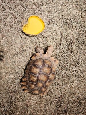 Milwaukee Public Museum by null