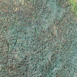 King Hydro seeding and Water Truck Services - april..some areas with excess seed and others with none