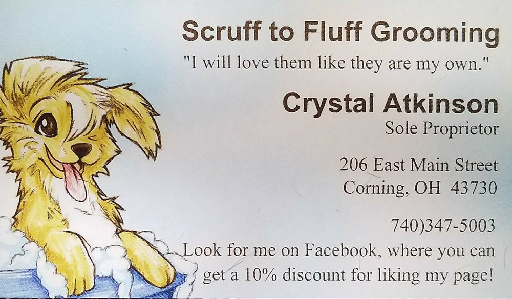SCRUFF TO FLUFF GROOMING Updated August 2024 11 Photos 206 E Main