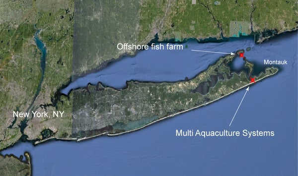 Multi Aquaculture Systems by null