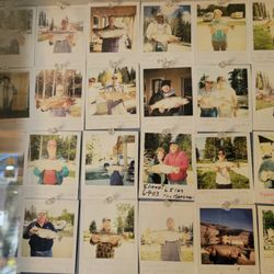 Jared's Wild Rose Resort - NO RECENT CATCHES