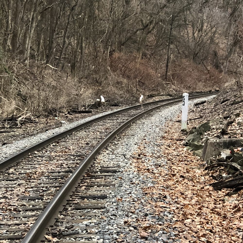 Beechview - Seldom Seen Greenway - Parks Near Me - Pittsburgh, Pennsylvania