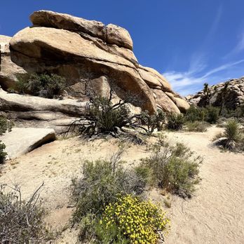 Barker Dam Trail - Hiking Near Me - Joshua Tree, California