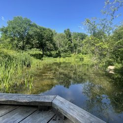 user provided Beechwood Farms Nature Reserve photo