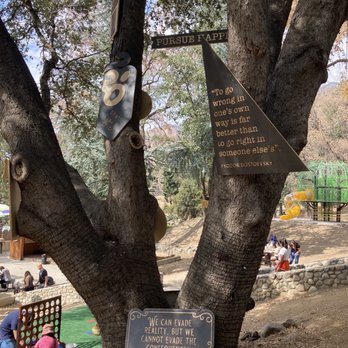 Oak Tree Mountain - Inspirational quotes - Amusement Parks Near Me - Oak Glen, California Oak Tree Mountain - Inspirational quotes - Amusement Parks Near Me - Oak Glen, California