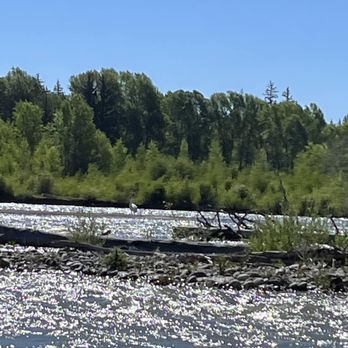 Barker-Ewing Scenic Tours - Rafting/Kayaking Near Me