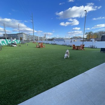 Urban Dog Bar - Dog Parks Near Me - Nashville, Tennessee Urban Dog Bar - Dog Parks Near Me - Nashville, Tennessee